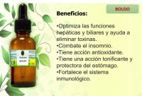 EXTRACTO DE BOLDO